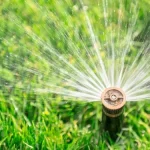 Benefits of Hiring a Professional Irrigation Service