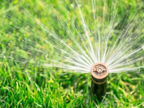 Benefits of Hiring a Professional Irrigation Service